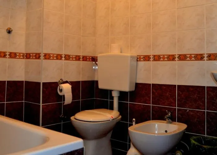 モーテル New Sanatron 2*