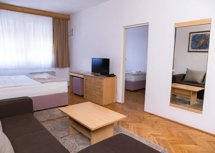 New Sanatron モーテル 2*