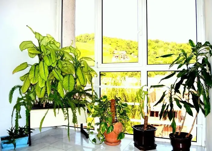 New Sanatron モーテル 2*